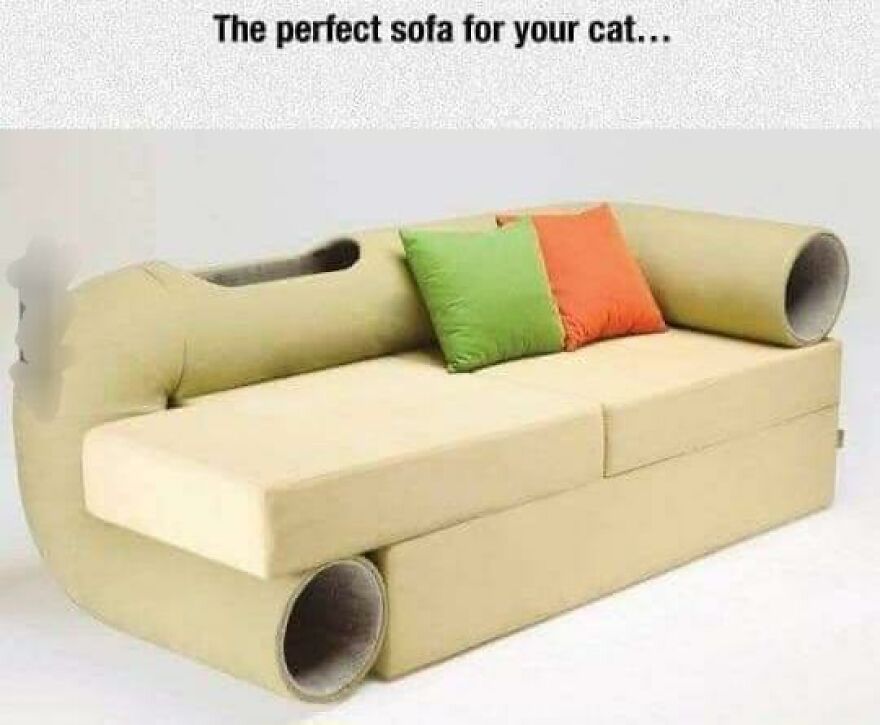 Beige cat sofa with built-in tunnels and cutouts, featuring orange and green cushions in a funny and cute animal meme style.