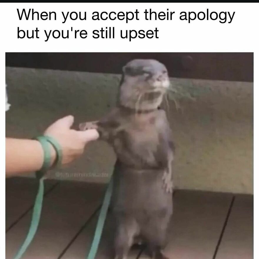 Funny and cute animal meme showing an otter holding a person's hand with a reluctant expression outdoors.