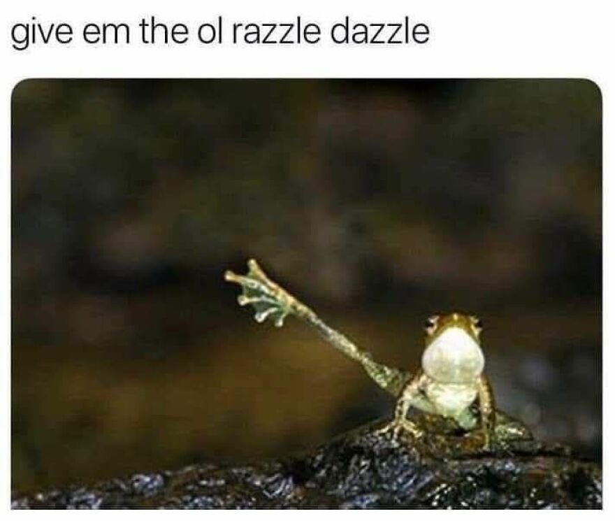 Funny and cute animal meme of a small frog raising one arm as if giving a performance or dance move outdoors.