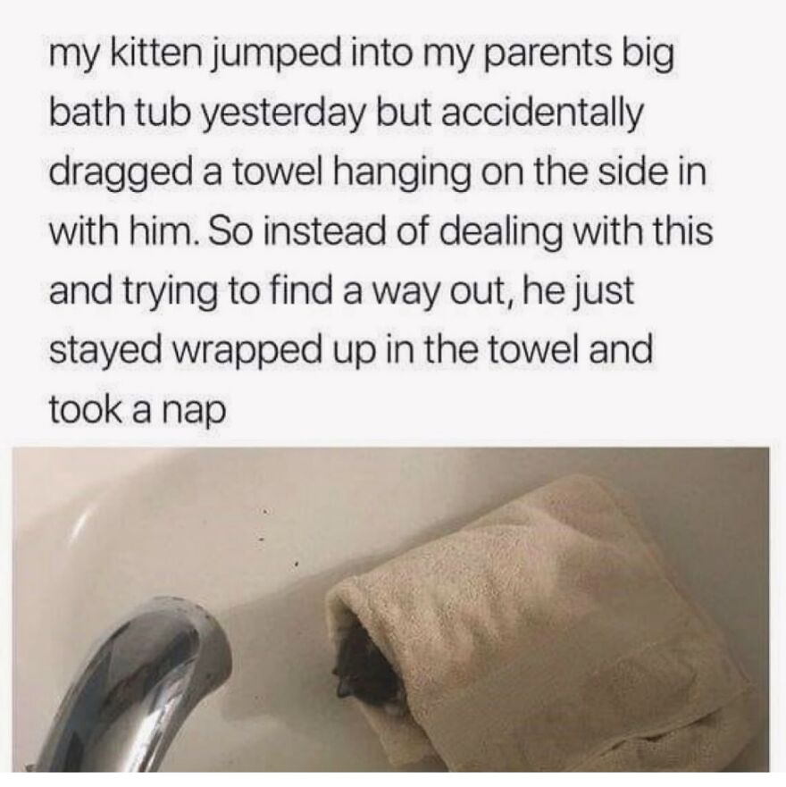 Kitten wrapped in a towel napping in a bathtub, a cute and funny animal meme to brighten your day.
