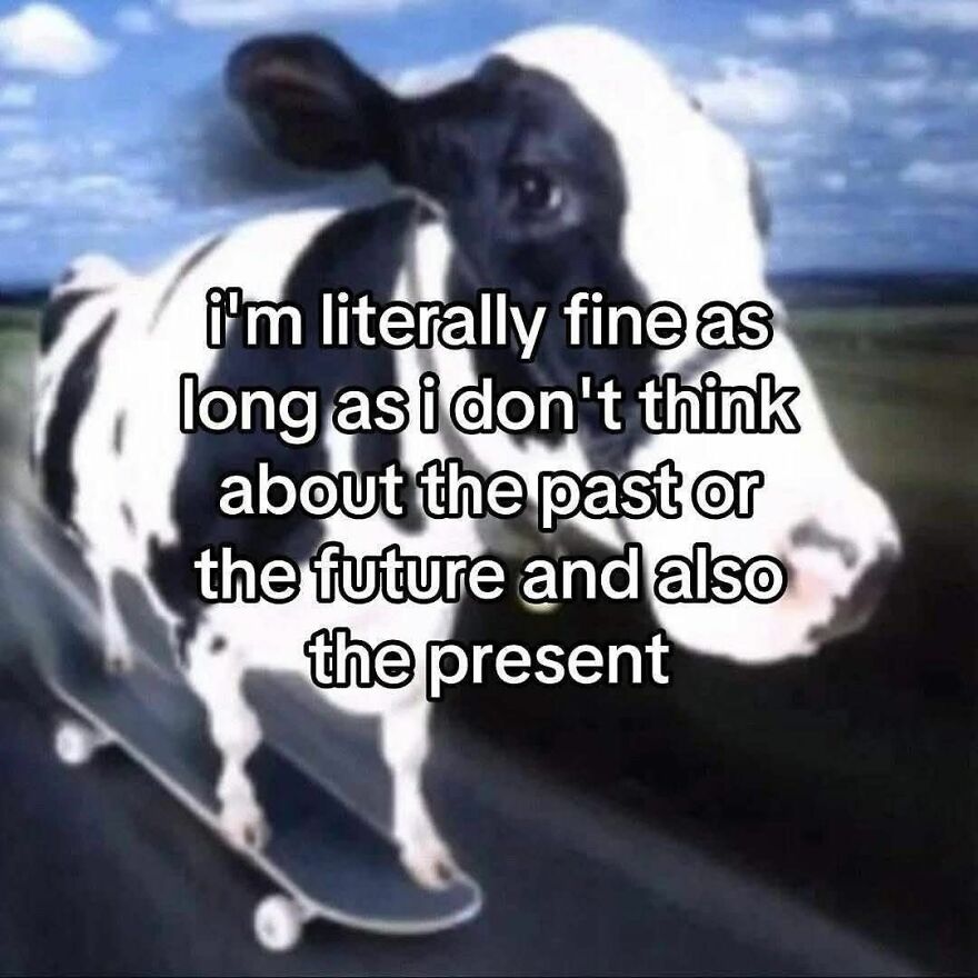 Cow on a skateboard with a funny caption, part of cute animal memes that might give you a reason to smile today.