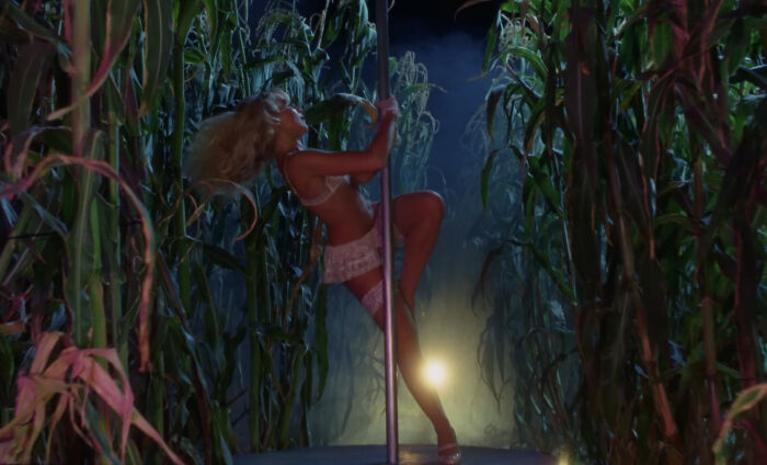 Sabrina Carpenter pole dance performance in a dark cornfield, wearing lingerie and high heels at night. Sabrina Carpenter pole dance performance in a dark cornfield, wearing lingerie and high heels at night.