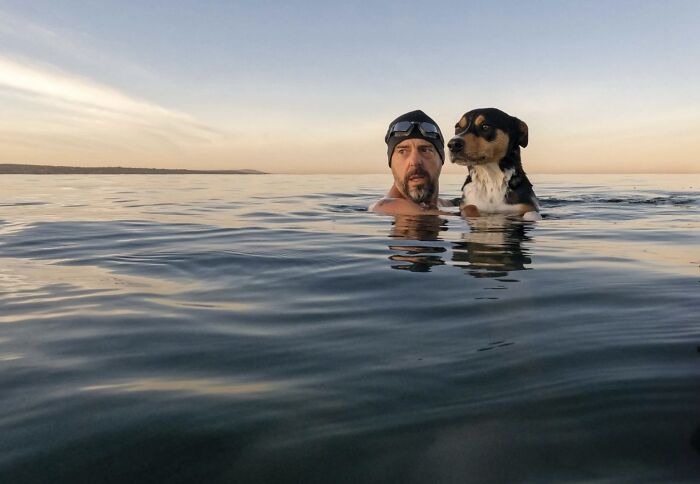 "Ocean Companions" By Fiona Basile