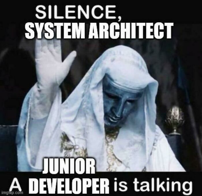Programming meme showing a figure silencing a system architect as a junior developer speaks humor in computer science context.