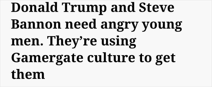 Text excerpt discussing political strategy involving angry young men and Gamergate culture in aged like wine predictions context.