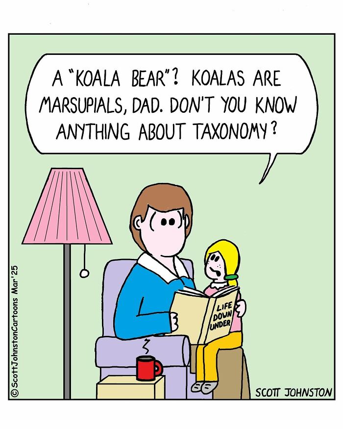 One-panel comic by Canadian cartoonist Scott Johnston showing a child correcting their dad about koala taxonomy.