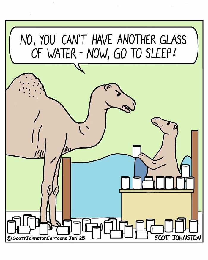 Funny one-panel comic by Canadian cartoonist Scott Johnston showing a camel telling another to stop drinking water and go to sleep.