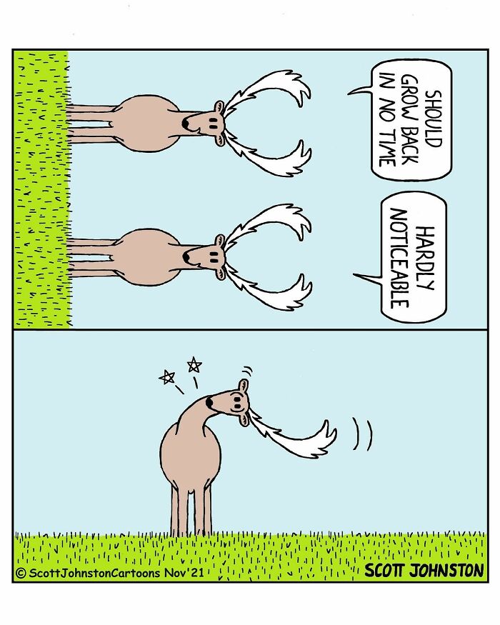 Two-panel funny one-panel comic by Canadian cartoonist Scott Johnston featuring moose with growing antlers and witty dialogue.