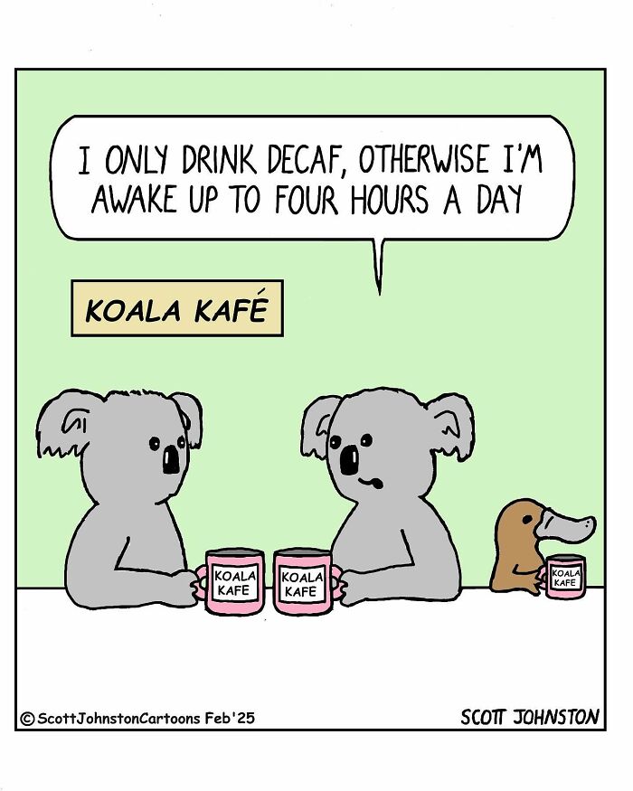Two koalas and a platypus drinking coffee in a funny one-panel comic by Canadian cartoonist Scott Johnston.