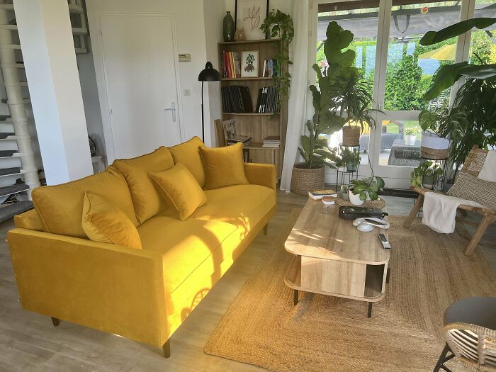 Cozy living room corner with a mustard yellow sofa, wooden coffee table, and lush green plants for home decorating pride.