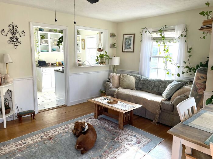 Cozy living room corner with a decorated sofa, wooden coffee table, plants, and natural light highlighting home decorating pride.