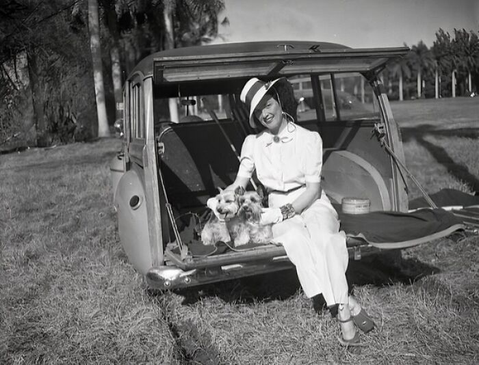Woman in 1950s Florida outfit sitting on car tailgate with two small dogs, capturing everyday life in 1950s Florida.