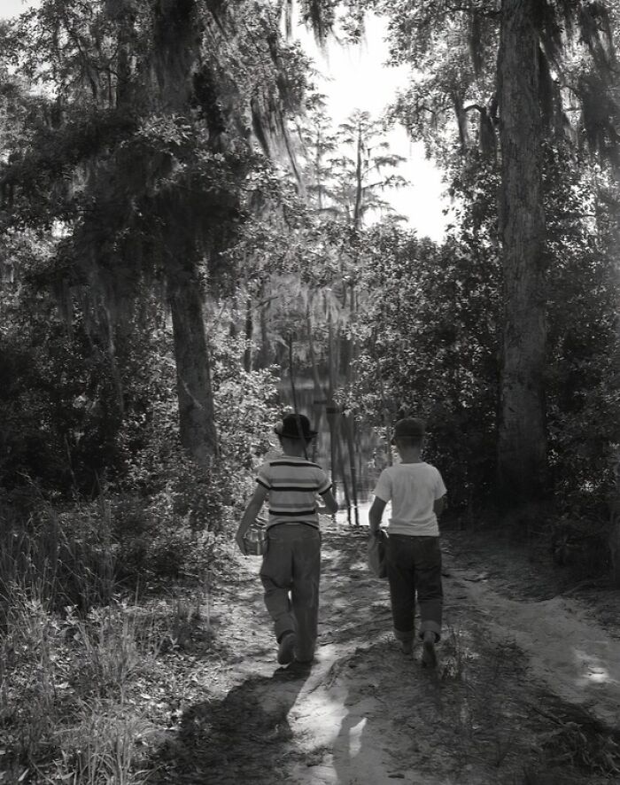 Two boys fishing along a forest trail, capturing iconic glimpses into everyday life in 1950s Florida.