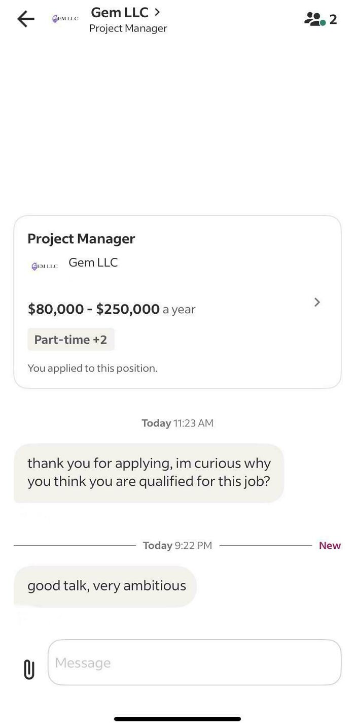 Chat exchange showing a Project Manager job application with outrageous job requirements and an ambiguous employer response.