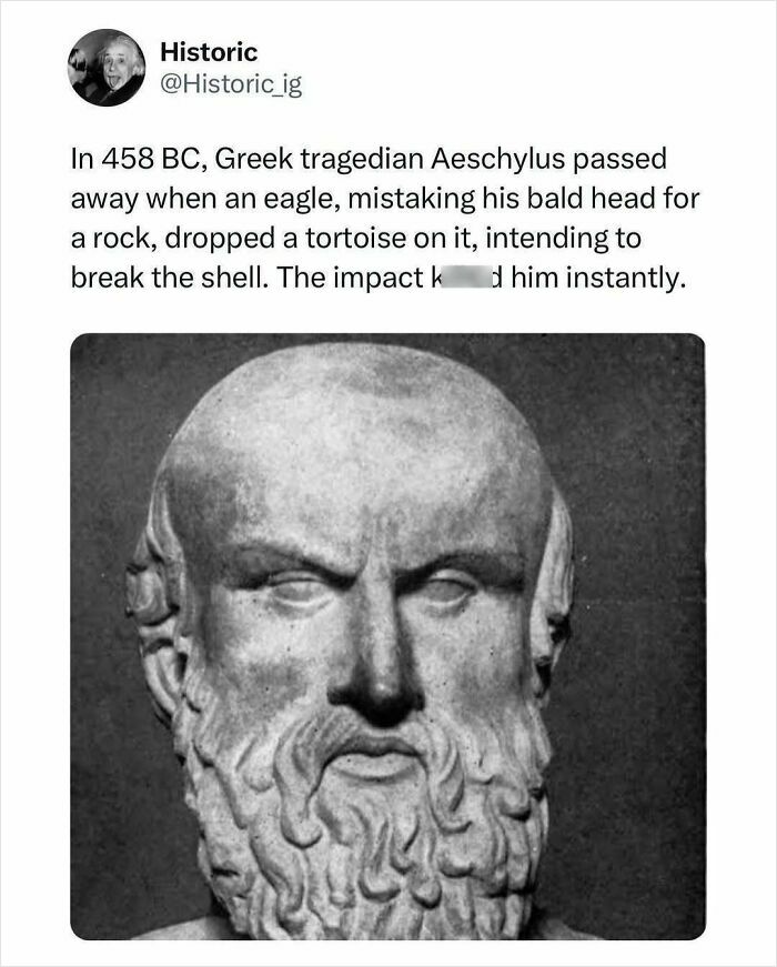Bust of Greek tragedian Aeschylus with a historic photo story about his death by an eagle dropping a tortoise.