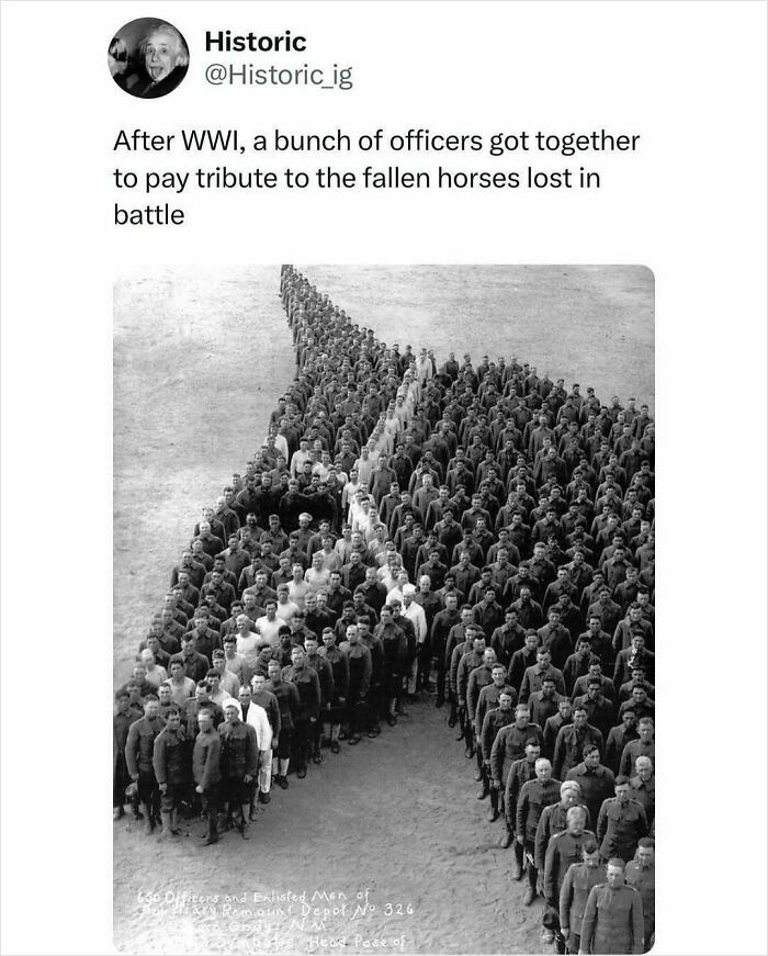 Historic photo of WWI officers and enlisted men forming a tribute to fallen horses lost in battle, showcasing interesting historic moments.