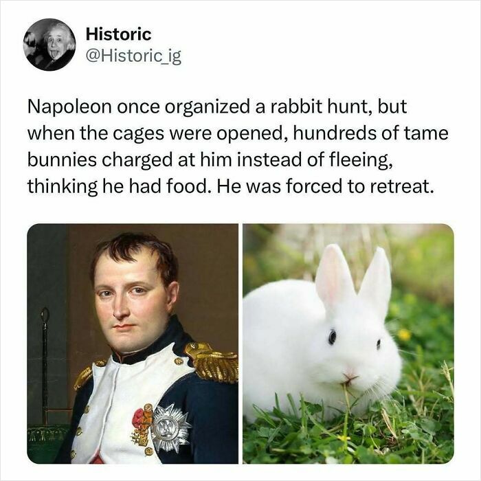 Historic photo of Napoleon with story of tame bunnies charging him during a rabbit hunt, highlighting fascinating historic moments.