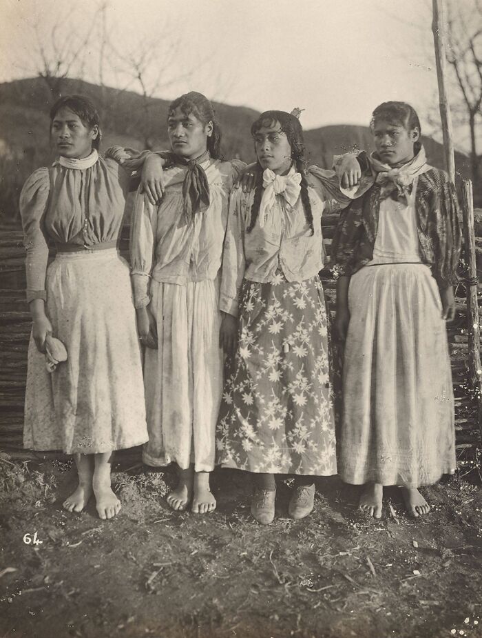 Four barefoot young Māori women in traditional early 20th century clothing pose outdoors against a wooden fence in a rural setting.