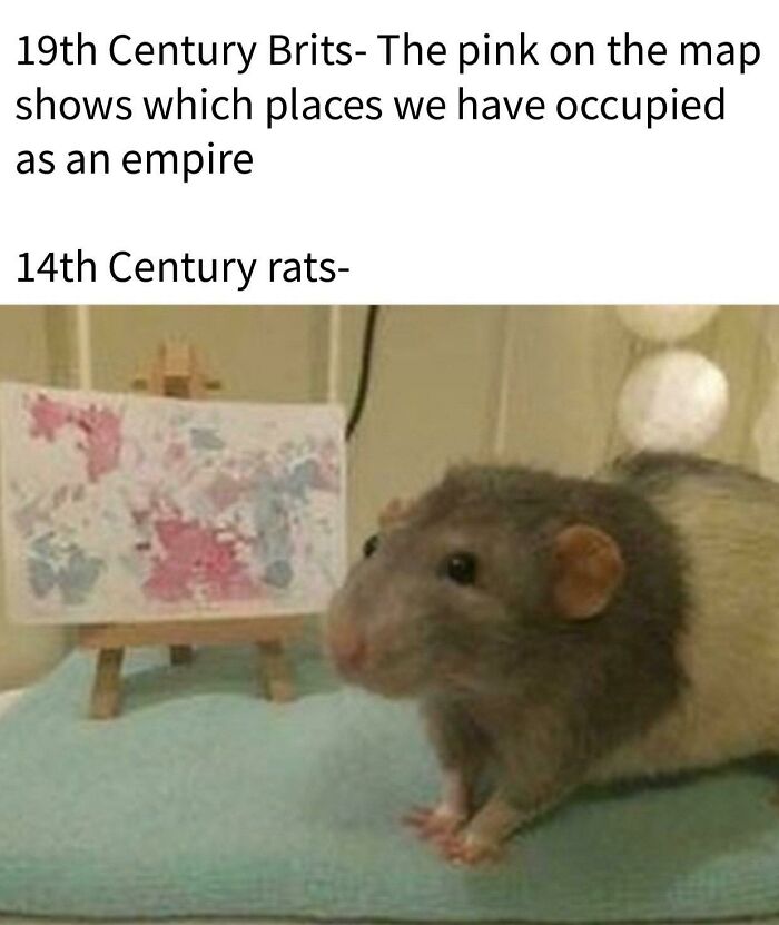 Funny Middle Ages meme with a rat next to a map referencing 19th century British empire occupation.