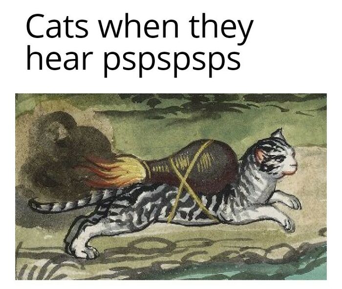 Medieval meme showing a cat with a rocket strapped to its back, humorously illustrating Middle Ages life with funny memes.