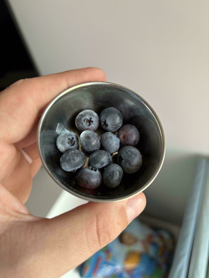 Hand holding a small metal cup filled with tiny blueberries, showcasing nature's playful miniature garden surprise.