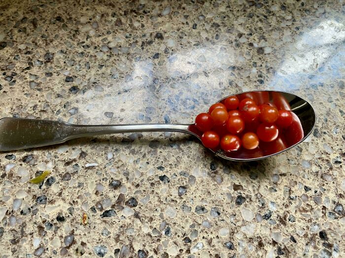 Small cherry tomatoes piled in a spoon on a speckled countertop, showcasing nature's garden surprises.