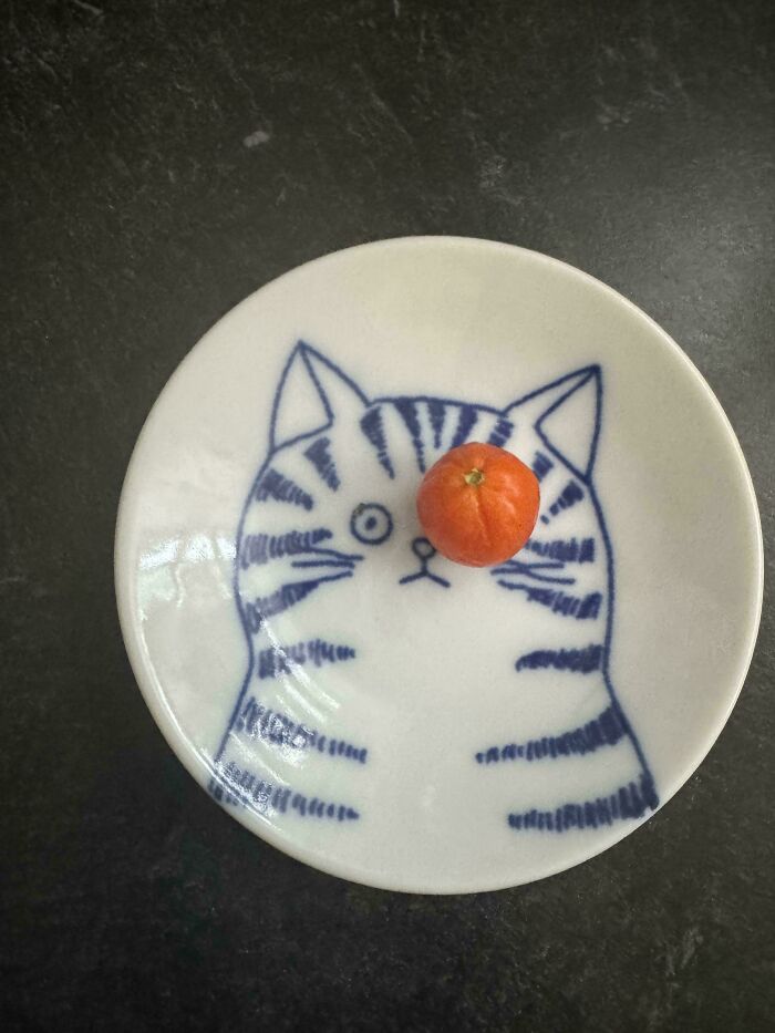 Small tomato placed on a plate with a cat illustration, showing a funny garden nature surprise for gardeners.