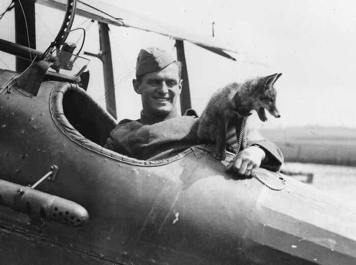 WWI soldier smiling in a cockpit holding a fox, showing daily life beyond the WWI trenches during wartime moments.