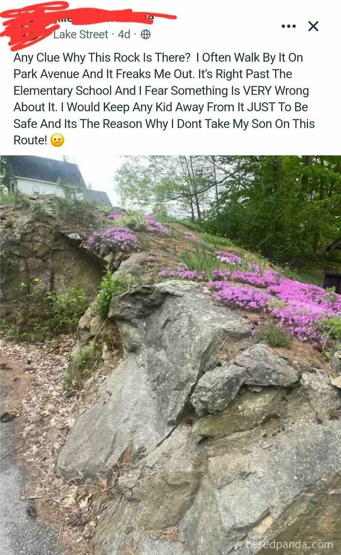 Screenshot of a wild post on a neighbor app discussing a mysterious rock near an elementary school on Park Avenue.