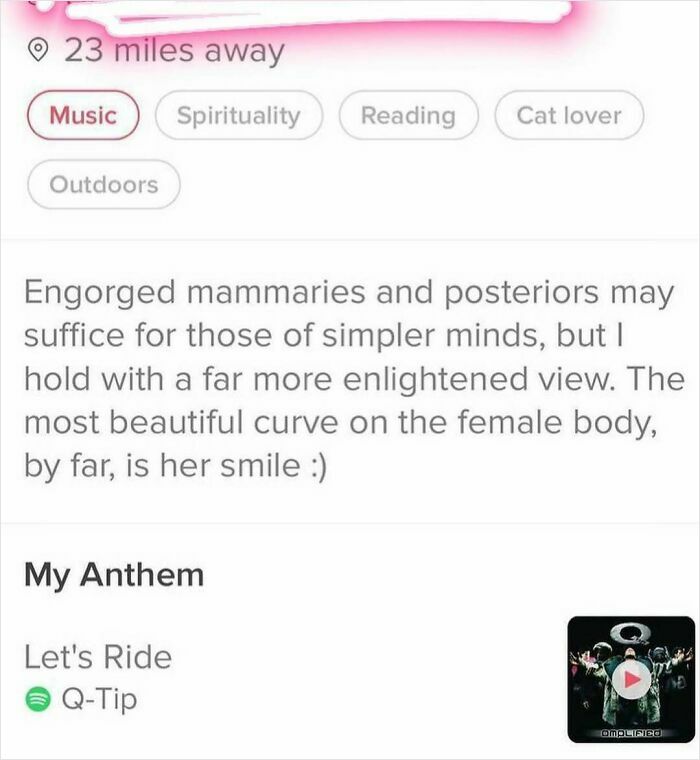 Screenshot of a cringy man’s dating profile message showcasing awkward attempts at flattering women online.