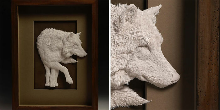Paper wildlife sculpture of a wolf, showcasing stunningly realistic details and lifelike fur texture in a framed display.