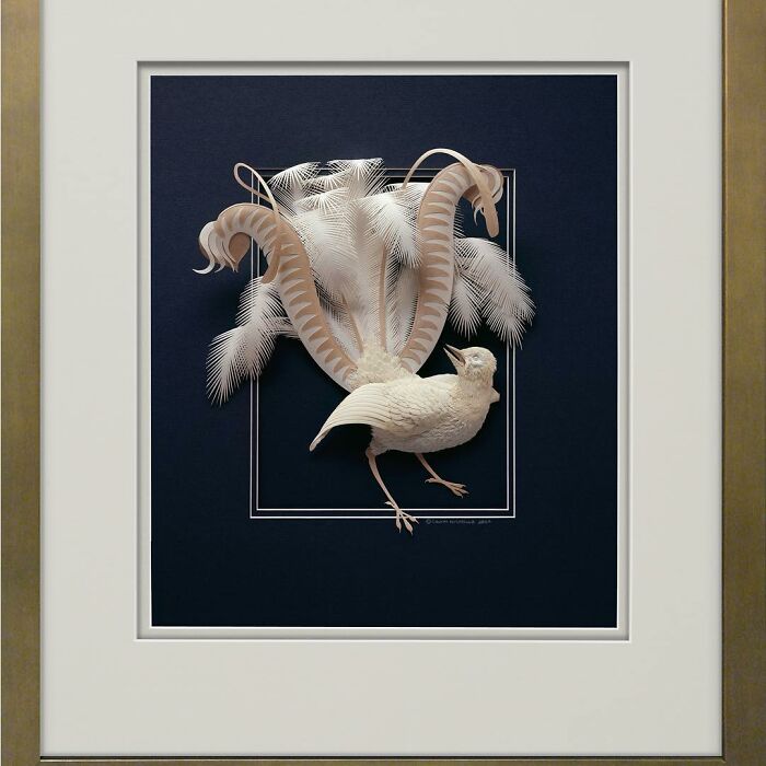 Realistic wildlife paper sculpture of a bird with intricate feather details mounted on a dark background in a frame.