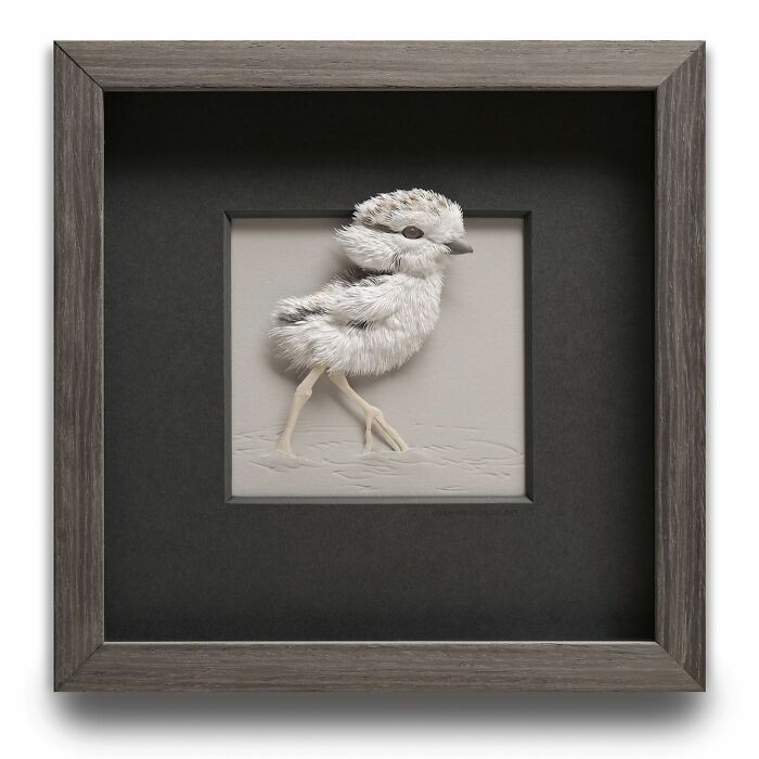 Paper wildlife sculpture of a small bird with detailed feathers, framed in a dark wooden frame against a neutral background.