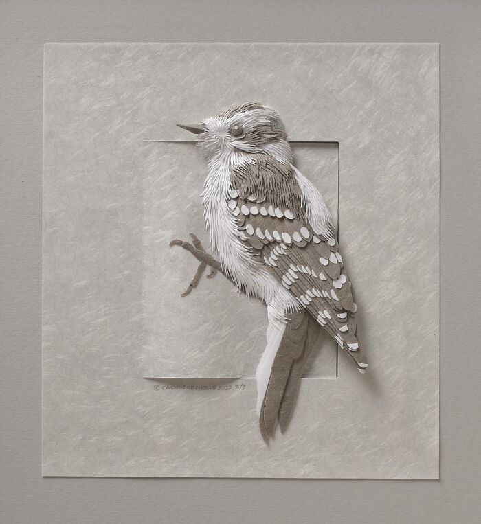 Paper sculpture of a realistic bird perched on a branch, showcasing stunningly detailed wildlife art from simple paper.