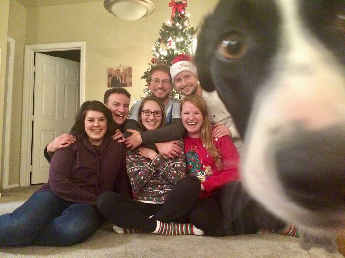Group of friends posing for holiday photo with dog photobombing close to the camera in a funny pets crash moment.