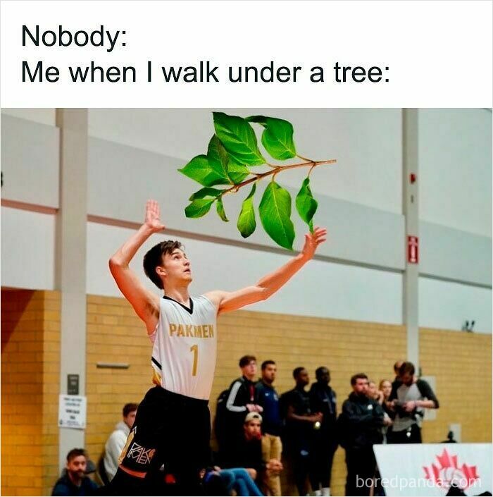 Young basketball player awkwardly reaching up to catch a large branch representing relatable memes humorously called out.