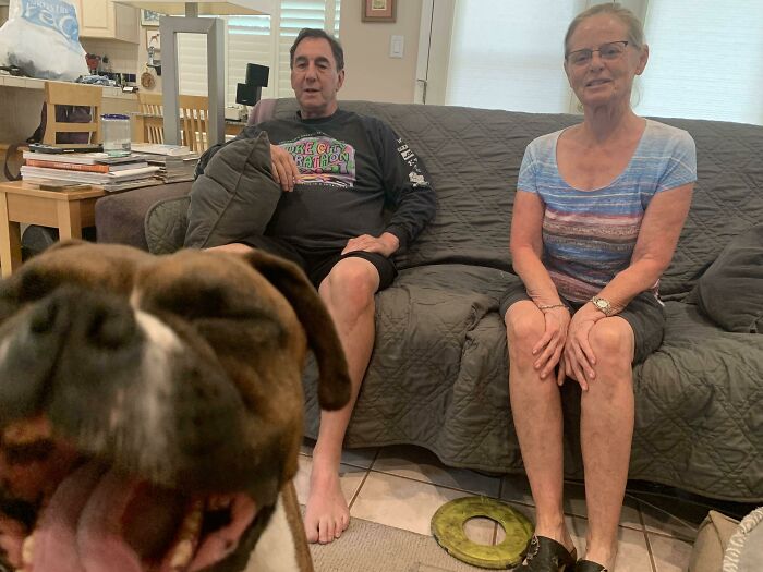 A happy dog photobombs a picture with two adults sitting on a couch in a cozy living room.