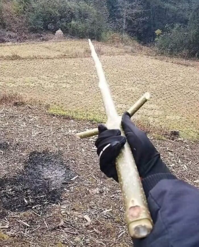 A man holding a Y-shaped stick outdoors, showcasing a unique find that any man would be excited to see.