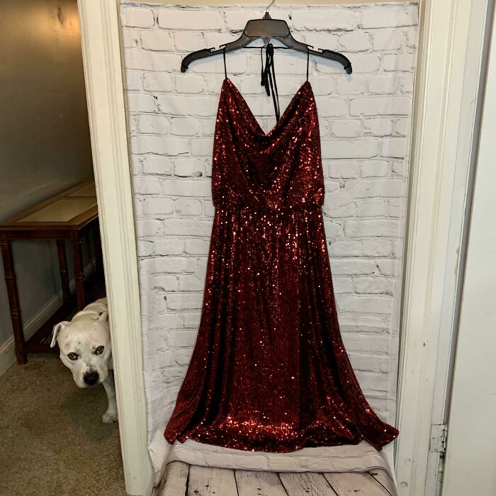 White dog peeking around doorway photo-bombing a red sequined dress hanging against a white brick wall.