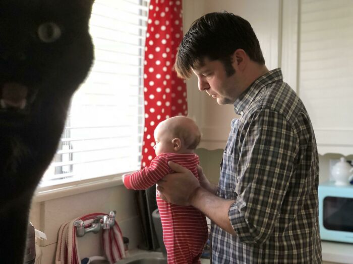 Man holding baby near window inside kitchen while black pet unexpectedly crashes photo stealing the show humorously