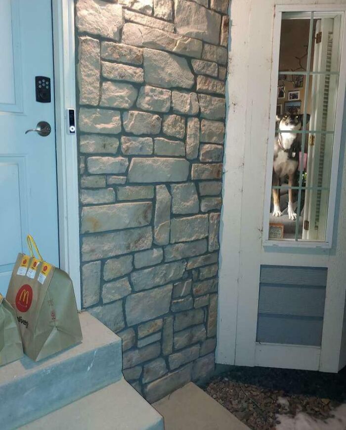 Dog peeking through glass door window stealing the show in a funny times pets crashed photo moment.