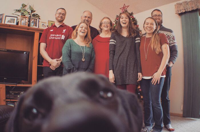 A dog photobombs a family Christmas photo, showcasing funny times pets crashed photos and stole the show.