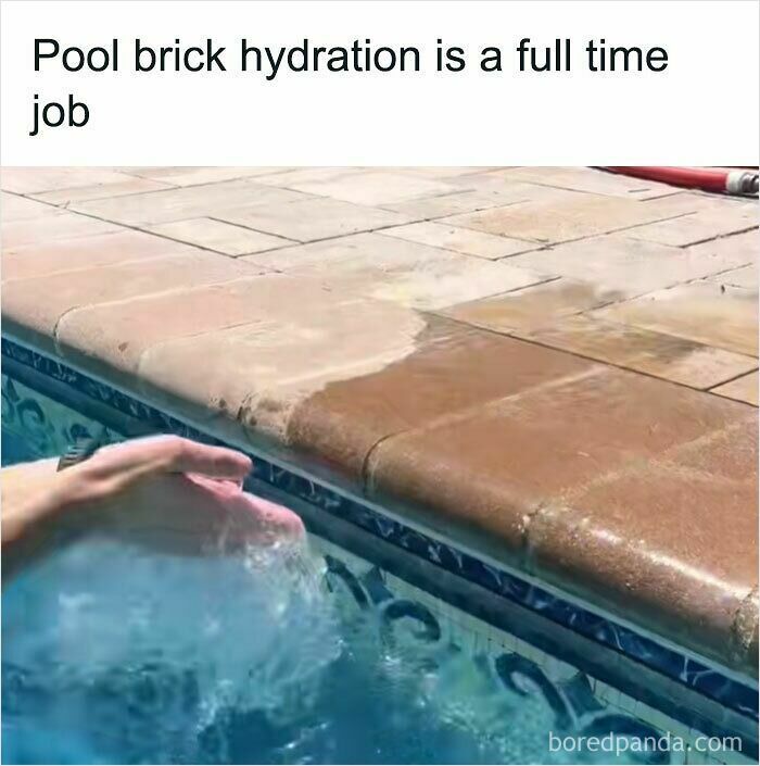 Hand holding a melting ice block near pool bricks, showing pool brick hydration process in a relatable meme.
