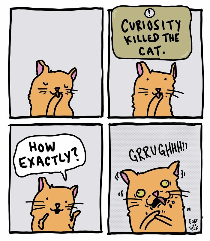Absurd comic by Cameron Spires showing a confused cat reacting to the phrase curiosity k****d the cat in four panels.