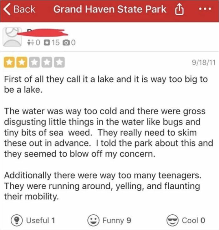 Screenshot of a humorous product and service review complaining about a lake being too big and full of bugs.
