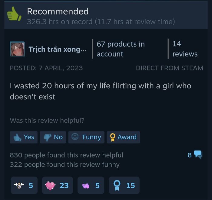 Steam product review showing a humorous comment about wasting 20 hours, highlighting sense of humor in reviews.