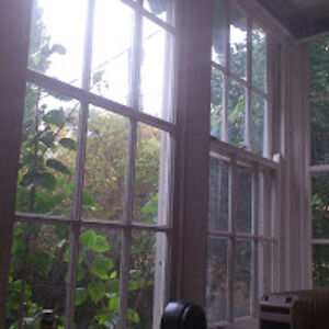 zigzagwanderer avatar