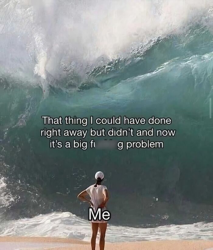 Person labeled Me standing on the beach facing a huge wave, illustrating a relatable neurodivergent meme problem.