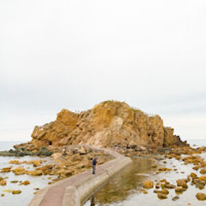 takasakitakagi avatar