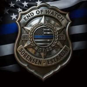 butterflykisses84405 avatar